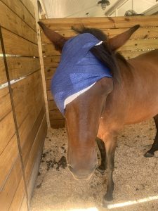 Do EYE have a problem