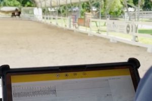 Why get a lameness evaluation by our team?